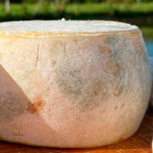 Queijo TERRA (Inteiro)